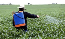 Pesquisador critica falta de investimentos na Paraíba e defende zoneamento agrícola no Estado. Crédito: Michel Filho-Agência O Globo/Reprodução